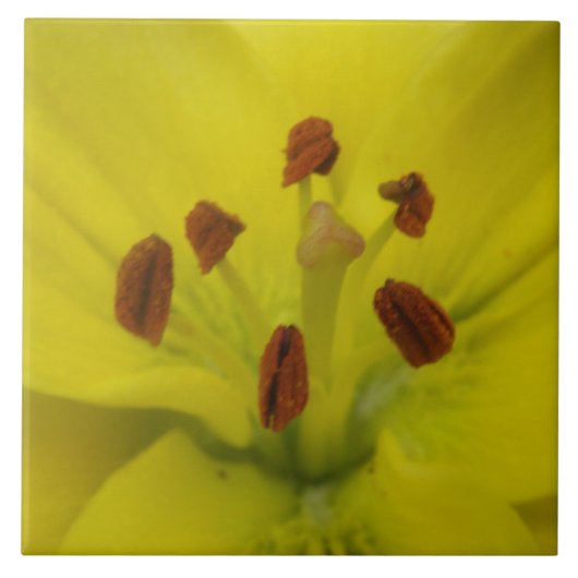 イエローリリーフローラタイル タイル (正面)