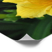 イエローリリー ポスター (角)