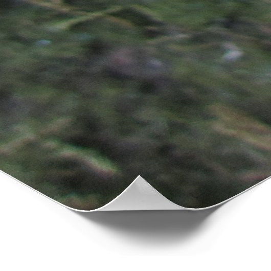 イエローリリー ポスター (角)