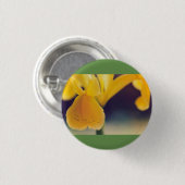 イエローリリー 缶バッジ (正面&裏面)