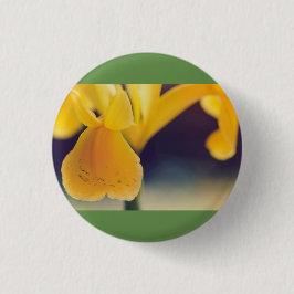 イエローリリー 缶バッジ