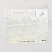 イエローリーズ・キャッスル,ケント,イングランドの花 ポストカード (裏面)