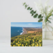 イエロールピネオーバーポイントレイズビーチアットポイント ポストカード (スタンド正面)