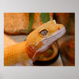 イエローレオパードGecko Lizardポスター ポスター