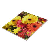 イエローレッドガーベラ菊の花 タイル (側面)