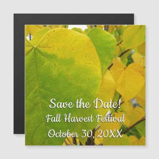 イエローレッドブド葉ズ (正面/裏面)