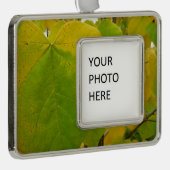 イエローレッドブド葉ズ シルバープレートフレームオーナメント (右)