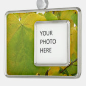 イエローレッドブド葉ズ シルバープレートフレームオーナメント (左)