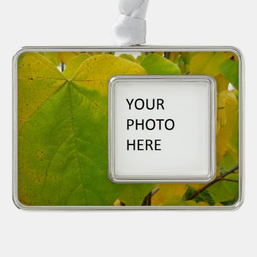 イエローレッドブド葉ズ シルバープレートフレームオーナメント (正面)
