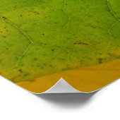 イエローレッドブド葉ズ ポスター (角)