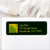 イエローレッドブド葉ズ ラベル (インサイチュ)