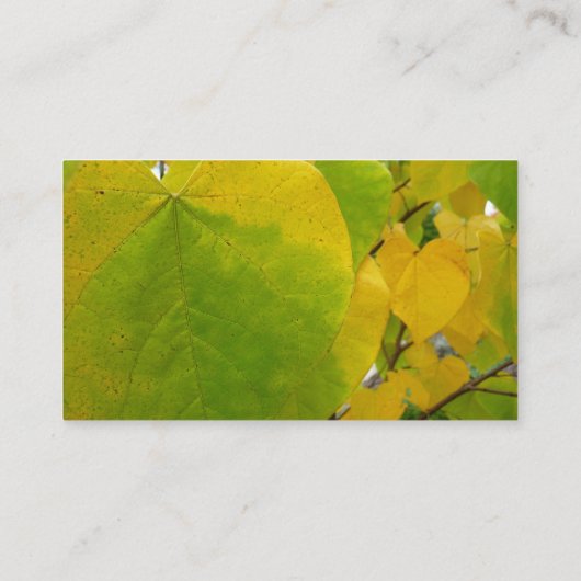 イエローレッドブド葉ズ 名刺 (裏面)