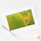 イエローレッドブド葉ズ 長方形シール (封筒)