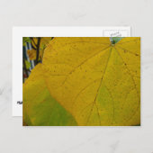 イエローレッドブ葉ド自然撮影 ポストカード (正面/裏面)