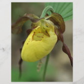 イエローレディースリッパーオーキッドフラワースクラップブック紙 (裏面)