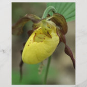 イエローレディースリッパーオーキッドフラワースクラップブック紙 (正面)