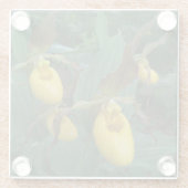 イエローレディーズスリッパの花のグループ ガラスコースター (裏面)