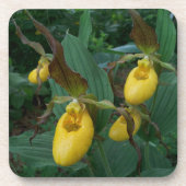 イエローレディーズスリッパの花のグループ コースター (正面)