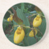 イエローレディーズスリッパの花のグループ コースター (正面)