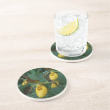 イエローレディーズスリッパの花のグループ