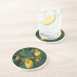 イエローレディーズスリッパの花のグループ コースター