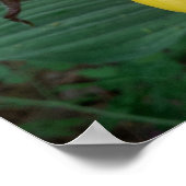 イエローレディーズスリッパの花のグループ ポスター (角)