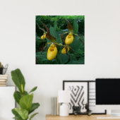 イエローレディーズスリッパの花のグループ ポスター (ホームオフィス)