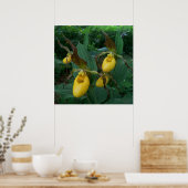 イエローレディーズスリッパの花のグループ ポスター (キッチン)