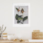 イエローレディーズスリッパ ポスター (キッチン)