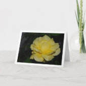 イエローローズアットナイトポートレート カード (正面)