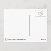 イエローローズアットハンプトンコート ポストカード (裏面)