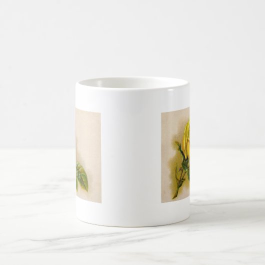 イエローローズアンティークヴィンテージプリントファインアート コーヒーマグカップ (中央)