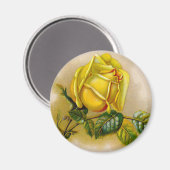 イエローローズアンティークヴィンテージプリントファインアート マグネット (正面/裏面)