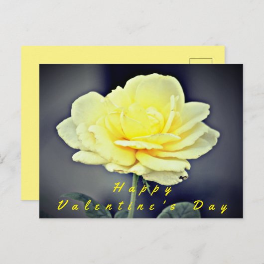 イエローローズオブフレンドシップバレンタインカード シーズンポストカード (正面/裏面)