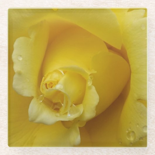 イエローローズガラスコースター ガラスコースター (正面)