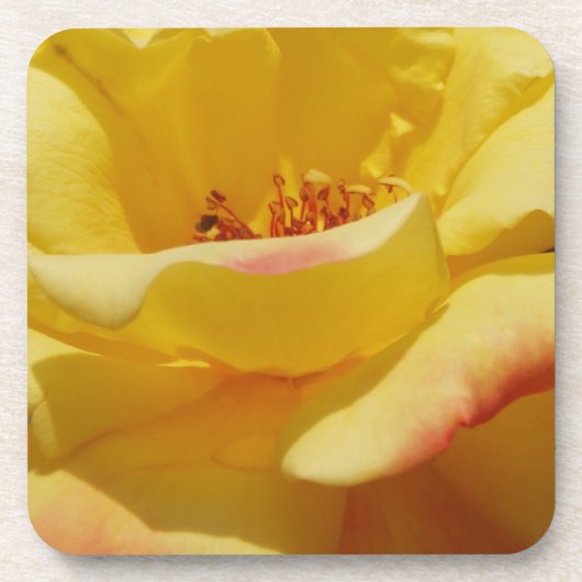 イエローローズコースター コースター (正面)