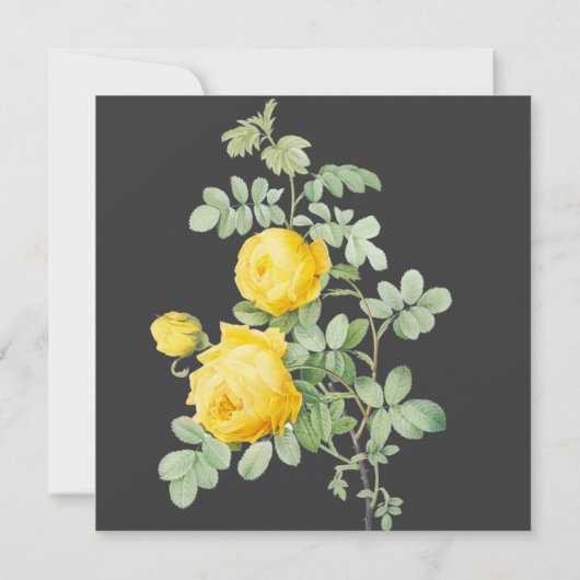 イエローローズズブライダルシャワー 招待状 (裏面)