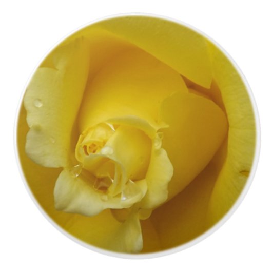 イエローローズセラミックプル セラミックノブ (正面)