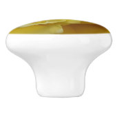 イエローローズセラミックプル セラミックノブ (側面)