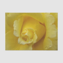 イエローローズティッシュペーパー