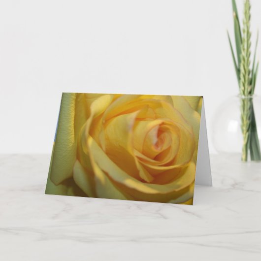 イエローローズノートカード カード (正面)