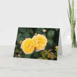 イエローローズノート カード