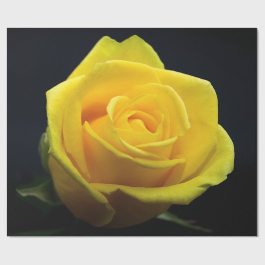 イエローローズバレンタインデラッピング紙 ラッピングペーパー (フラット)