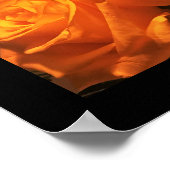 イエローローズフォト ポスター (角)