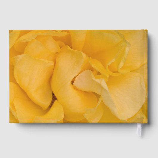 イエローローズフラワーお祝いメモリアル ゲストブック (裏面)