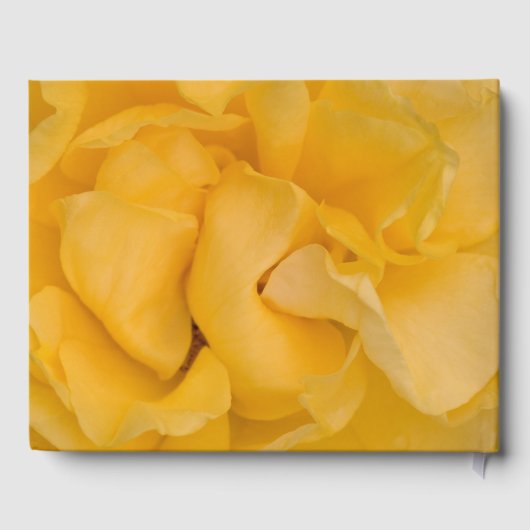 イエローローズフラワーお祝いメモリアル ゲストブック (裏面)