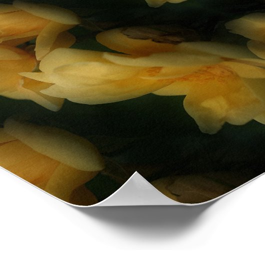 イエローローズフラワーズ抽象芸術自然アート ポスター (角)