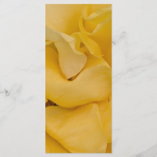 イエローローズフローラ結婚式 プログラム (裏面)