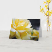 イエローローズフローラ5 カード (黄色い花)