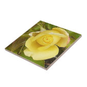 イエローローズブドセラミックタイル タイル (側面)